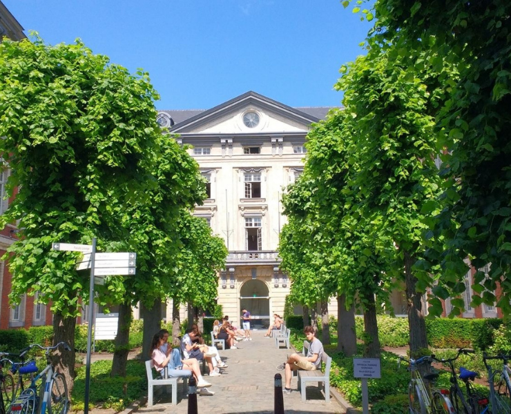 Luiss University Master's Degree APPLYWAVE