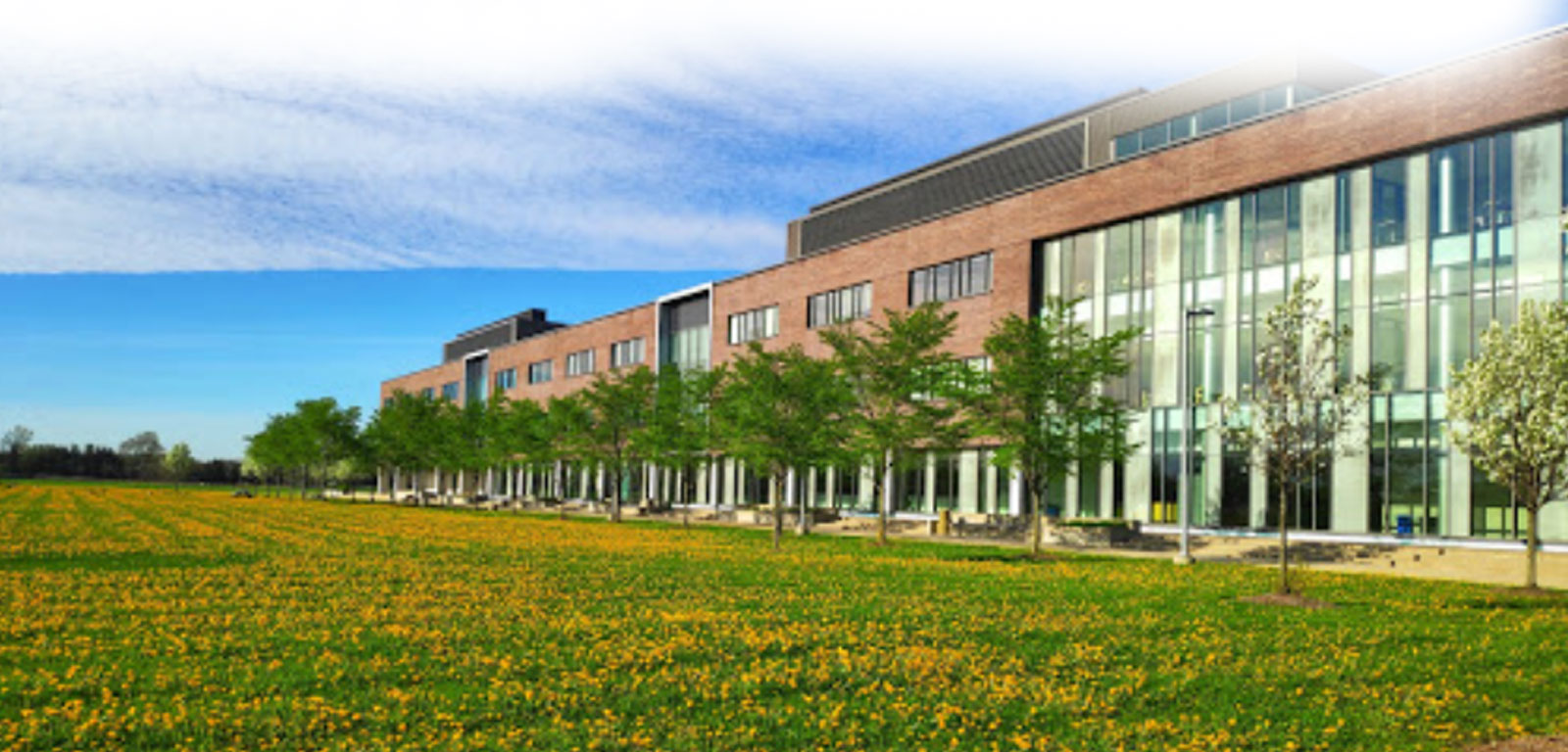 Conestoga College Certificate APPLYWAVE